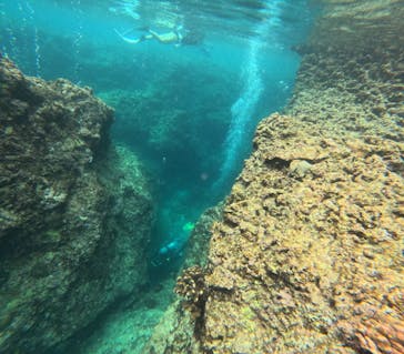 沖縄マリンサービス碧に投稿された画像（2025/6/27）