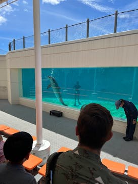 沖縄美ら海水族館に投稿された画像（2025/6/27）