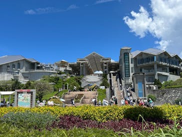 沖縄美ら海水族館に投稿された画像（2025/6/27）