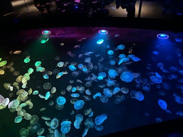 すみだ水族館に投稿された画像（2025/6/27）