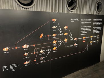 すみだ水族館に投稿された画像（2025/6/27）