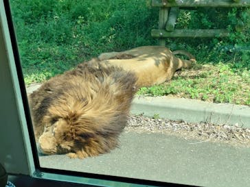東京動物園協会_多摩動物公園に投稿された画像（2025/6/27）