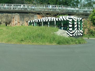 東京動物園協会_多摩動物公園に投稿された画像（2025/6/27）