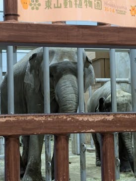 名古屋市東山動植物園に投稿された画像（2025/6/27）