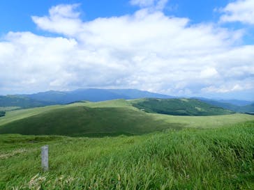 車山高原SKYPARK RESORTに投稿された画像（2025/6/27）