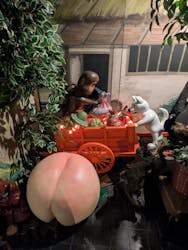 桃太郎のからくり博物館に投稿された画像（2025/6/27）