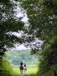 TANIMOTO HORSE RANCH（タニモトホースランチ）に投稿された画像（2025/6/27）
