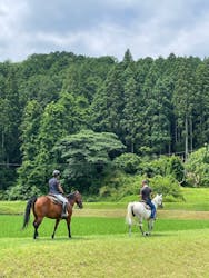 TANIMOTO HORSE RANCH（タニモトホースランチ）に投稿された画像（2025/6/27）
