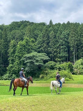 TANIMOTO HORSE RANCH（タニモトホースランチ）に投稿された画像（2025/6/27）