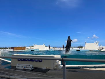 沖縄美ら海水族館に投稿された画像（2025/6/27）
