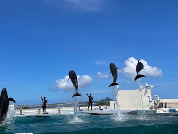 沖縄美ら海水族館に投稿された画像（2025/6/27）