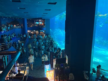 沖縄美ら海水族館に投稿された画像（2025/6/27）