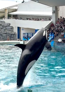 鴨川シーワールドに投稿された画像（2025/6/27）