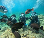 沖縄マリンサービス碧に投稿された画像（2025/6/28）