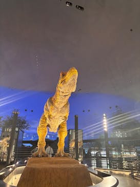 福井県立恐竜博物館に投稿された画像（2025/6/28）