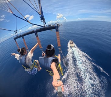 Sea World（シーワールド）に投稿された画像（2025/6/28）