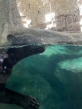 名古屋市東山動植物園に投稿された画像（2025/6/28）