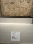 ブルックリン博物館所蔵　特別展　古代エジプト（豊田会場）に投稿された画像（2025/6/28）