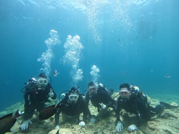 武藤潜水に投稿された画像（2025/6/28）