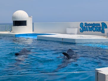 鴨川シーワールドに投稿された画像（2025/6/28）