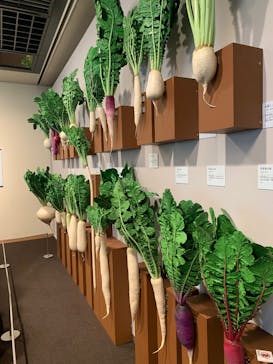 特別展「和食 ～日本の自然、人々の知恵～」に投稿された画像（2025/6/28）