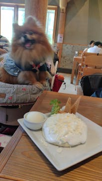 わんダフルネイチャーヴィレッジに投稿された画像（2025/6/28）