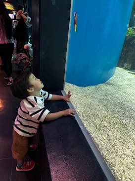 マクセル アクアパーク品川に投稿された画像（2025/6/28）