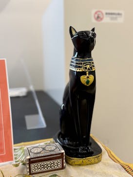 IMMERSIVE JOURNEYに投稿された画像（2025/6/28）