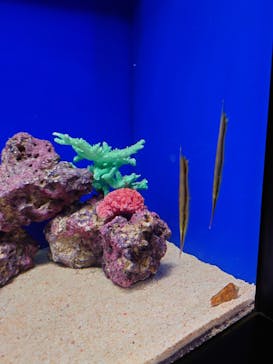 サンシャイン水族館に投稿された画像（2025/6/28）