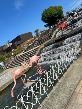 こども動物自然公園（埼玉県公園緑地協会）に投稿された画像（2025/6/28）