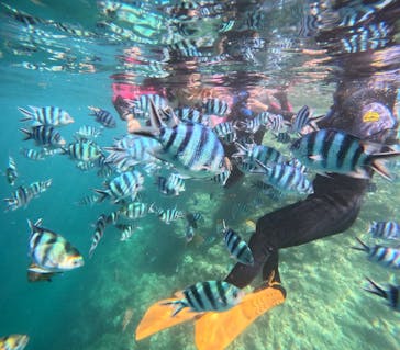 沖縄マリンサービス碧に投稿された画像（2025/6/28）