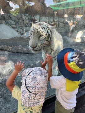 東武動物公園に投稿された画像（2025/6/28）