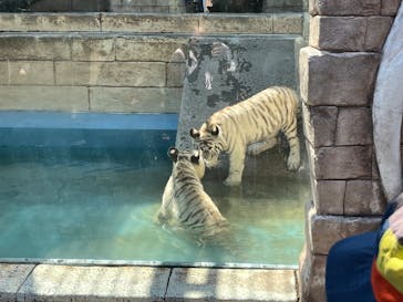 東武動物公園に投稿された画像（2025/6/28）
