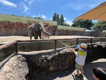 東武動物公園に投稿された画像（2025/6/28）