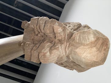 ゴジラ・THE・アート展に投稿された画像（2025/6/28）