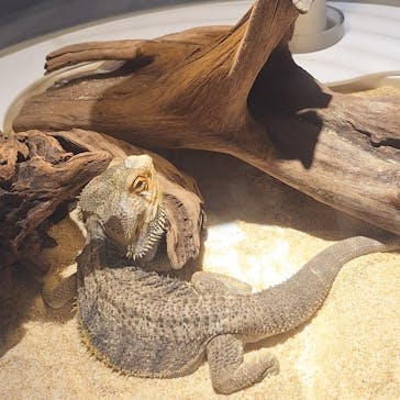 NIFREL（ニフレル）に投稿された画像（2025/6/28）