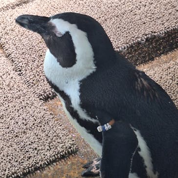 NIFREL（ニフレル）に投稿された画像（2025/6/28）