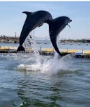 日間賀島ドルフィンビーチに投稿された画像（2025/6/28）