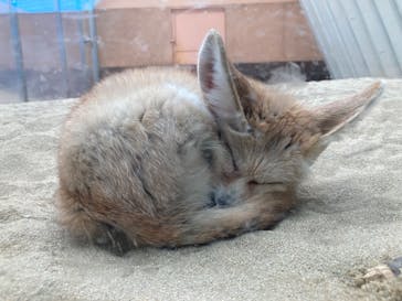 アクアマリンふくしまに投稿された画像（2025/6/28）