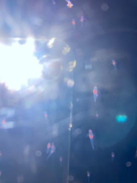 アクアマリンふくしまに投稿された画像（2025/6/28）