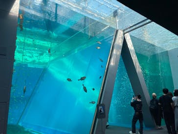 環境水族館アクアマリンふくしまに投稿された画像（2025/6/28）
