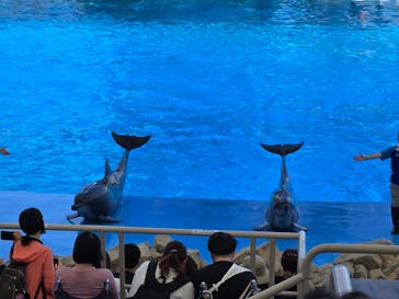 名古屋港水族館に投稿された画像（2025/6/28）