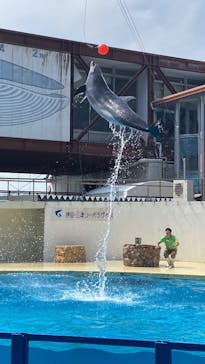 伊豆・三津シーパラダイスに投稿された画像（2025/6/28）