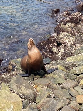 伊豆・三津シーパラダイスに投稿された画像（2025/6/28）