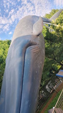 国立科学博物館に投稿された画像（2025/6/28）