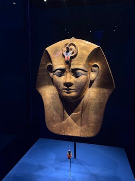 ACN ラムセス大王展 ファラオたちの黄金に投稿された画像（2025/6/28）