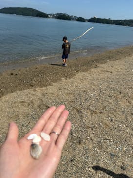 鳥羽湾めぐりとイルカ島に投稿された画像（2025/6/28）