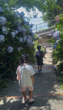 鳥羽湾めぐりとイルカ島に投稿された画像（2025/6/28）