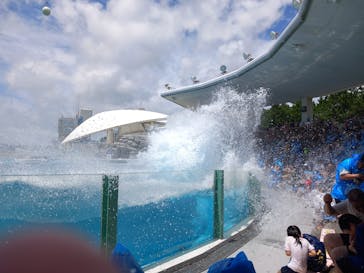 鴨川シーワールドに投稿された画像（2025/6/23）