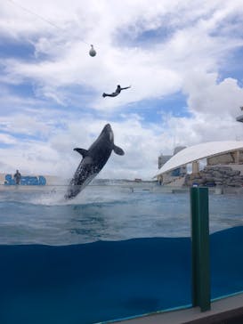 鴨川シーワールドに投稿された画像（2025/6/23）